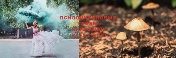 МДПВ Богородск