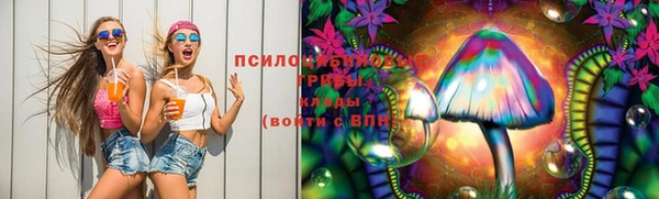 таблы Богородицк