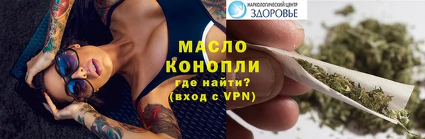 индика Богданович