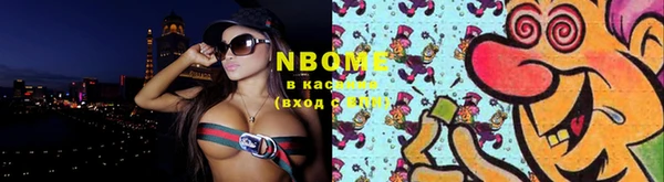 индика Богданович