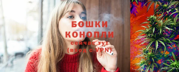 индика Богданович