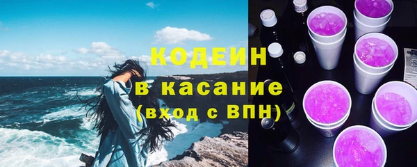 индика Богданович