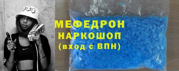 индика Богданович