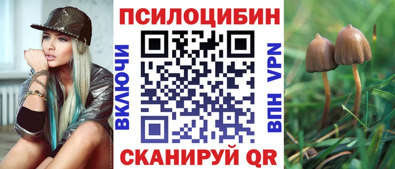 Галлюциногенные грибы GOLDEN TEACHER  дарк нет клад  Брянск 